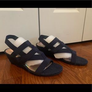 New York transit wedges